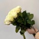 Букет белых роз из 13 шт, красивый букет из роз 60 см, букет живых цветов, Россия