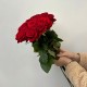Букет красных роз из 13 шт, красивый букет роз 60 см, букет живых цветов, Россия