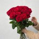 Букет из 27 красных роз, красивый букет цветов 60 см, букет живых цветов, Россия