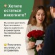 Цветы розы букет 31 шт, большой букет цветов высота 60 см, букет живых цветов, Россия