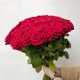 Красивый букет из красных роз 75 шт 50 см, букет красных роз, букет живых цветов, Россия