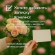 Букет пионов розовых сорта Сара Бернар из 25 шт под ленту, Голландия