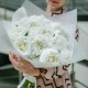 Букет из 15 белых пионов