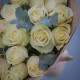 25 белых роз с эвкалиптом Премиум 60 см