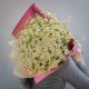 Букет 51 ромашка кустовая кустовая