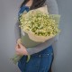 Букет 19 ромашек кустовых