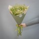 Букет 19 ромашек кустовых