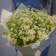Букет 19 ромашек кустовых