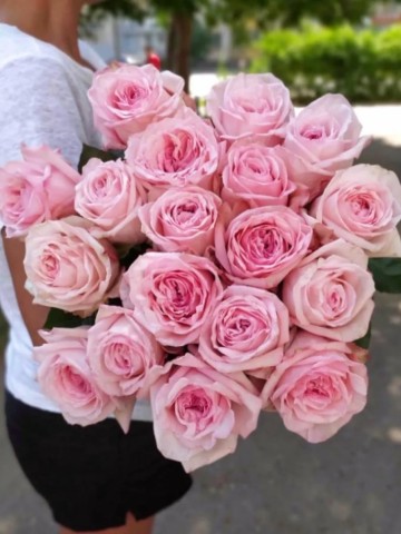 Букет  из 15  пионовидных роз Pink O'Hara