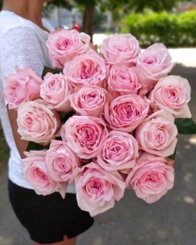 Букет  из 15  пионовидных роз Pink O'Hara