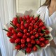 Букет 51 красный тюльпан