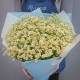 Букет 101 ромашка кустовая кустовая