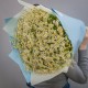 Букет 101 ромашка кустовая кустовая