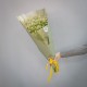 Букет 35 ромашек кустовых