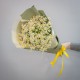 Букет 35 ромашек кустовых