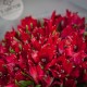 Букет из 19 красных альстромерий