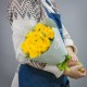 Букет из 25 желтых нарциссов