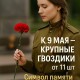 Живые цветы поштучно, гвоздики, красные, подарок для ветеранов