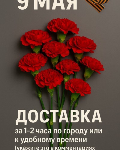 Живые цветы поштучно, гвоздики, красные, подарок для ветеранов Живые цветы поштучно, гвоздики, красные, подарок для ветеранов