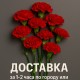 Живые цветы поштучно, гвоздики, красные, подарок для ветеранов
