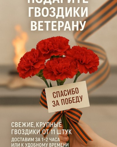Живые цветы поштучно, гвоздики, красные, подарок для ветеранов Живые цветы поштучно, гвоздики, красные, подарок для ветеранов
