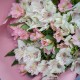 Букет из 15 розовых и белых альстромерий