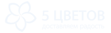 5 Цветов